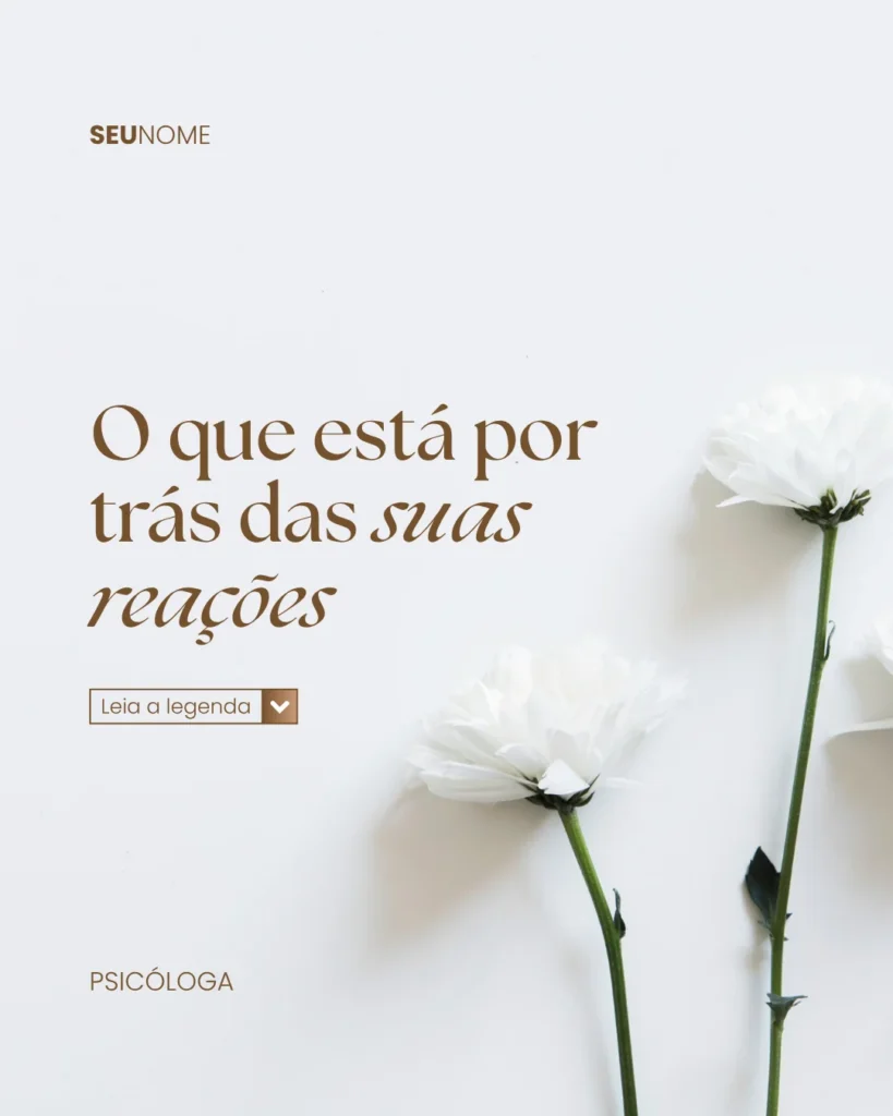 15.webp