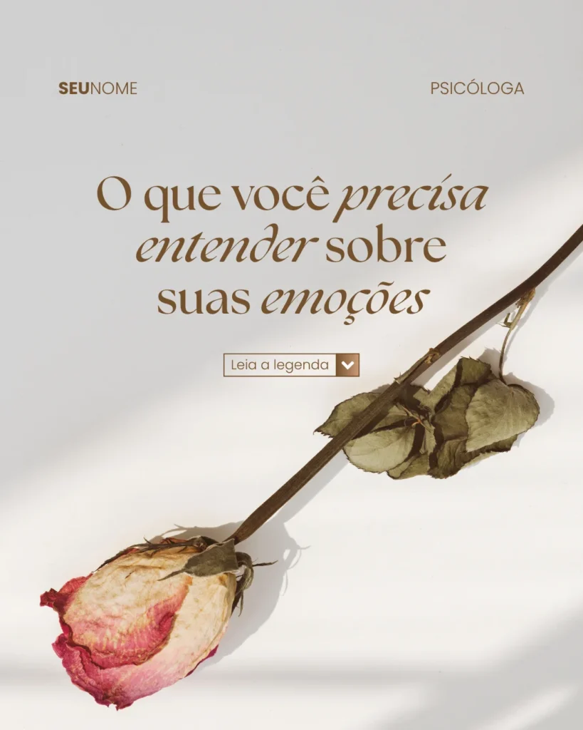 53.webp